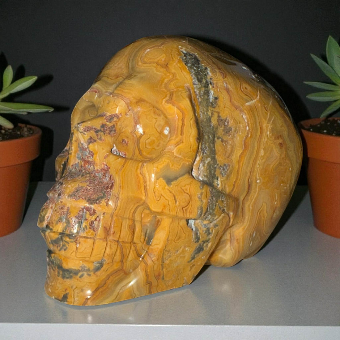 Yellow Crazy Lace Agate Skull – 5” x 4” | 2.98 lbs | Stone of Joy &amp; Vitality