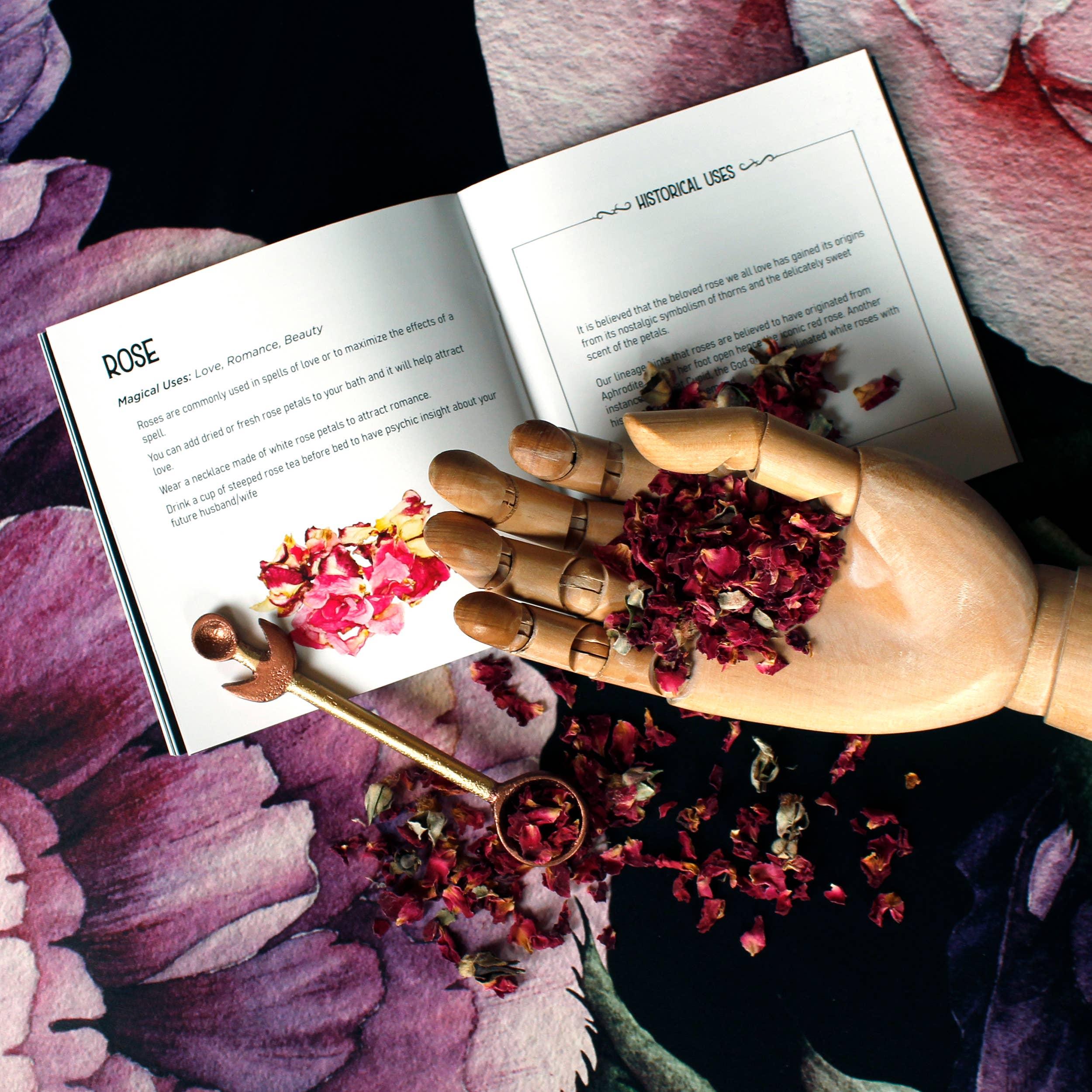 Witchcraft Herb Spell Kit – Crystals, Herbs, Pendulum &amp; Spellbook for Rituals &amp; Magick