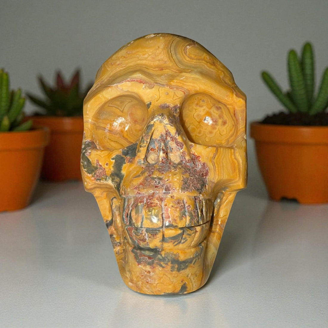 Yellow Crazy Lace Agate Skull – 5” x 4” | 2.98 lbs | Stone of Joy &amp; Vitality