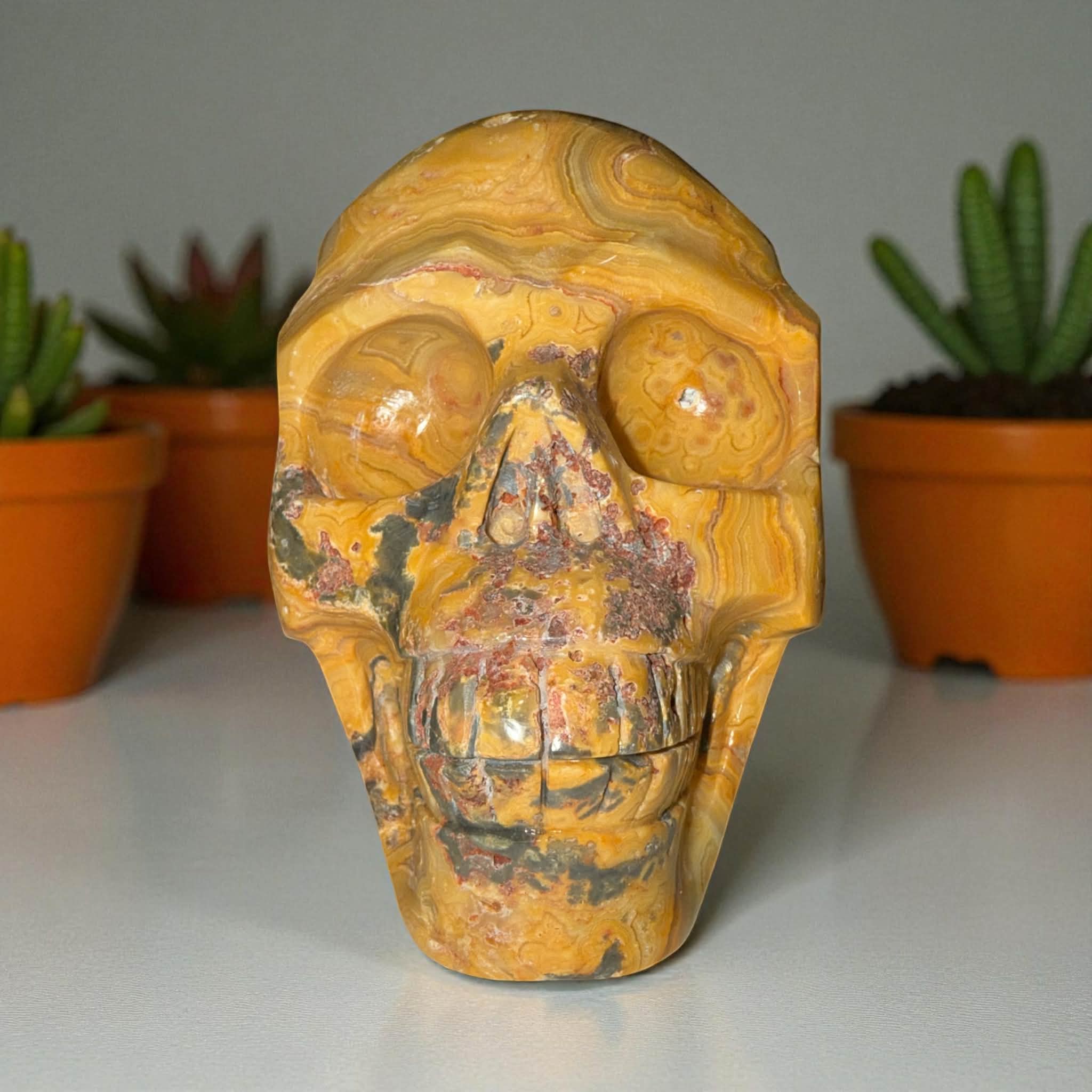 Yellow Crazy Lace Agate Skull – 5” x 4” | 2.98 lbs | Stone of Joy &amp; Vitality