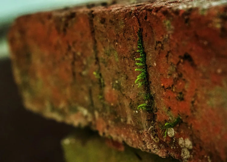 Red Brick Dust – Hand Ground Hoodoo Protection Powder