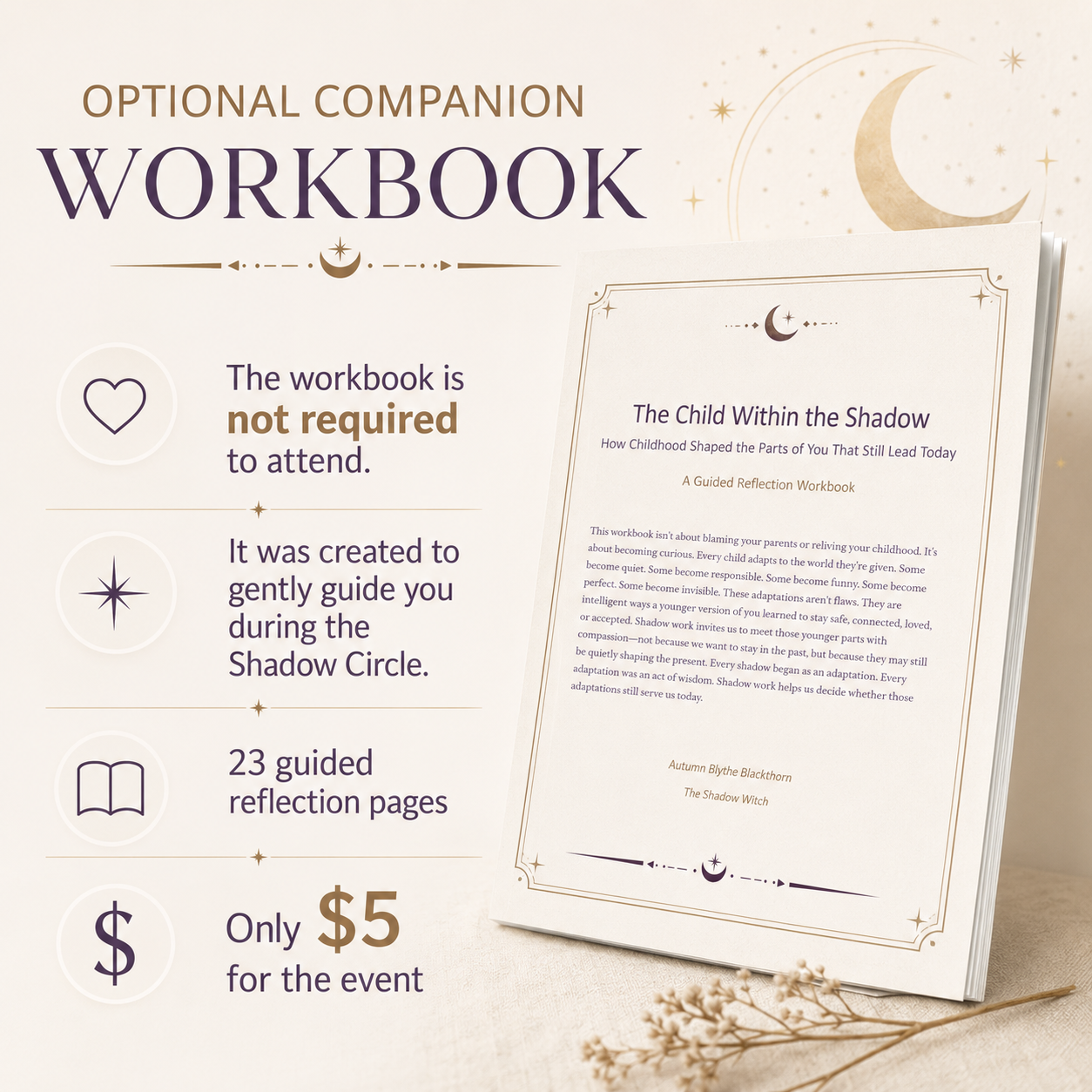 The Shadow Within the Child Workbook