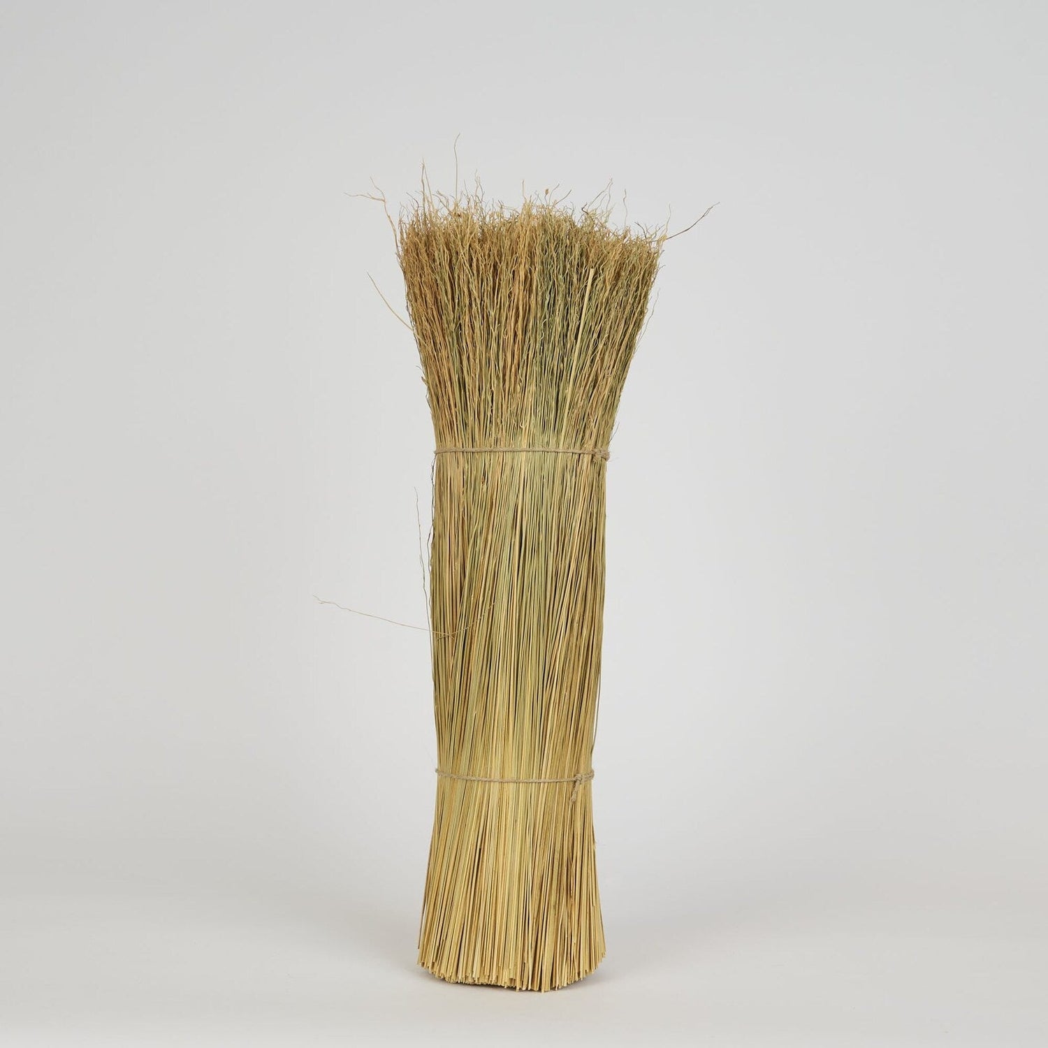 1 Pound Dyed Broomcorn 20" Hurl for Broom Making and Crafting