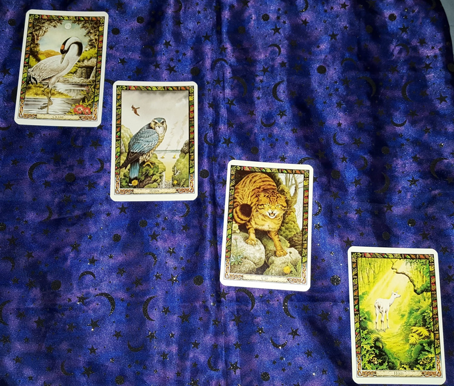 2026 Tarot Reading