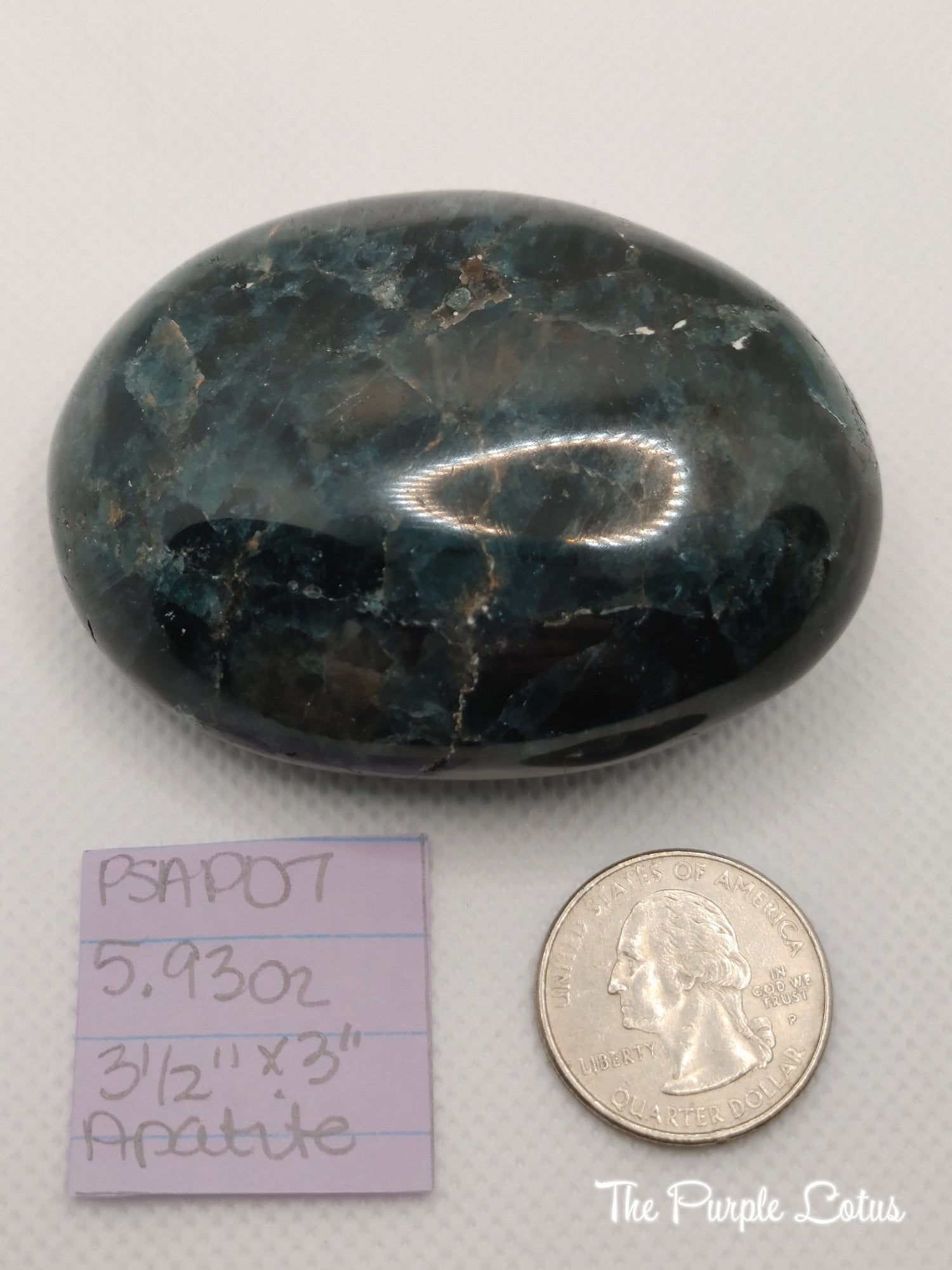 Apatite Palm Stone, Communication and Focus, Public Speaking, Peace, Love, Acceptance 3 1/2&amp;quot; x 3&amp;quot;