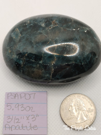 Apatite Palm Stone, Communication and Focus, Public Speaking, Peace, Love, Acceptance 3 1/2&amp;quot; x 3&amp;quot;