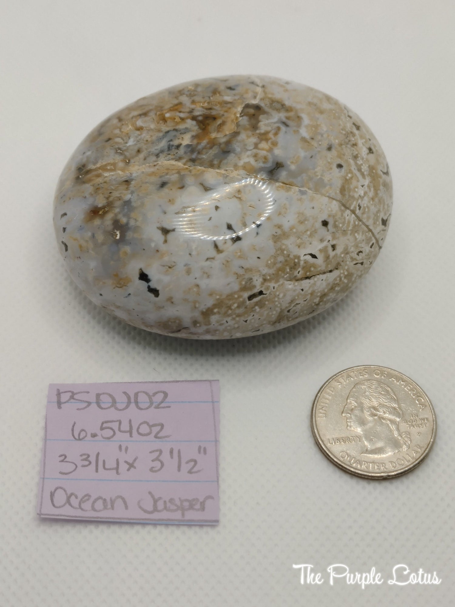 Ocean Jasper Palm Stone, Elevated Spirits (6.54oz)