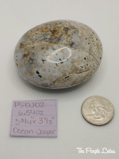 Ocean Jasper Palm Stone, Elevated Spirits (6.54oz)