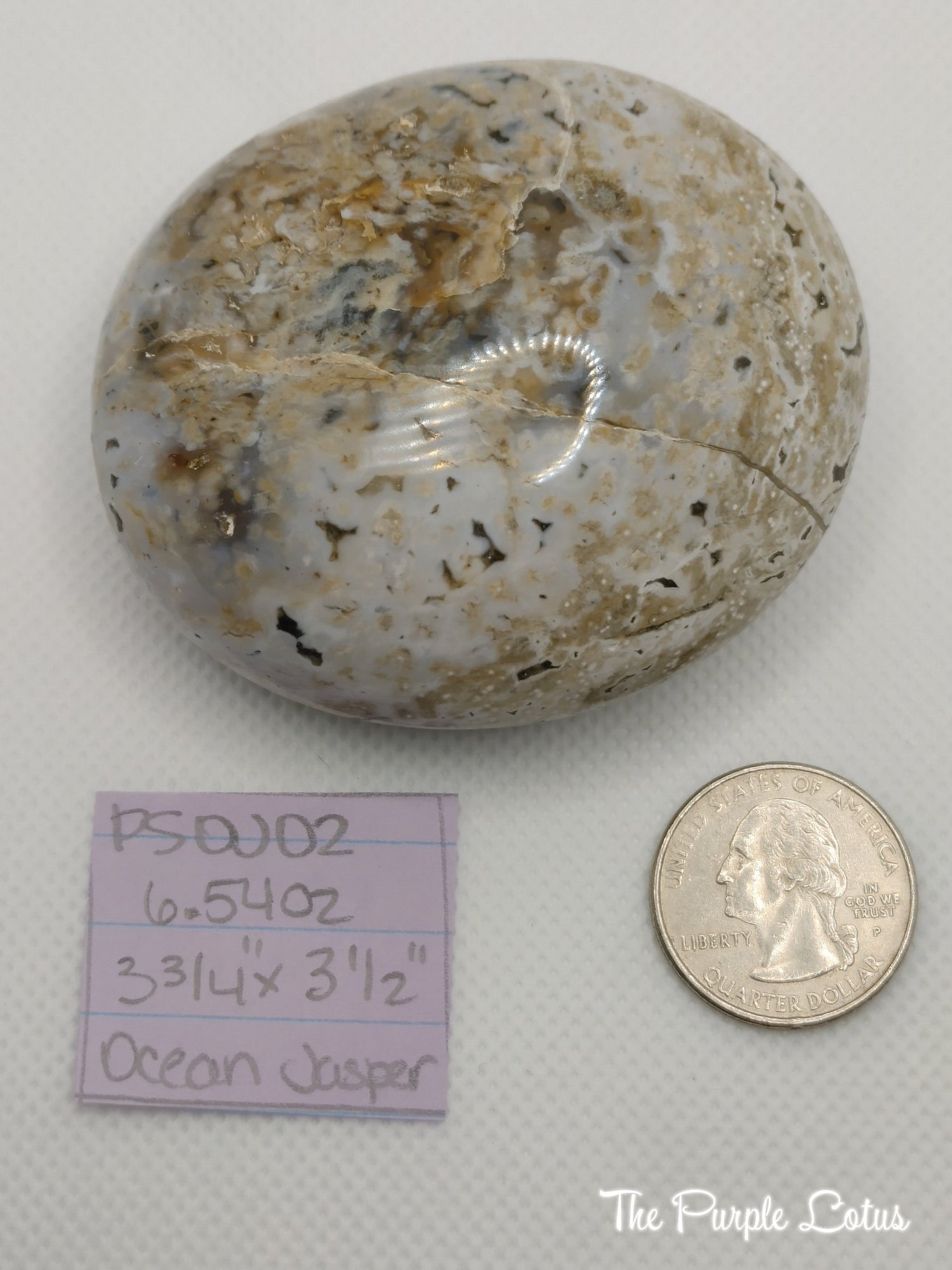 Ocean Jasper Palm Stone, Elevated Spirits (6.54oz)