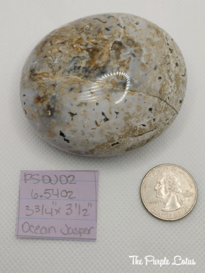 Ocean Jasper Palm Stone, Elevated Spirits (6.54oz)