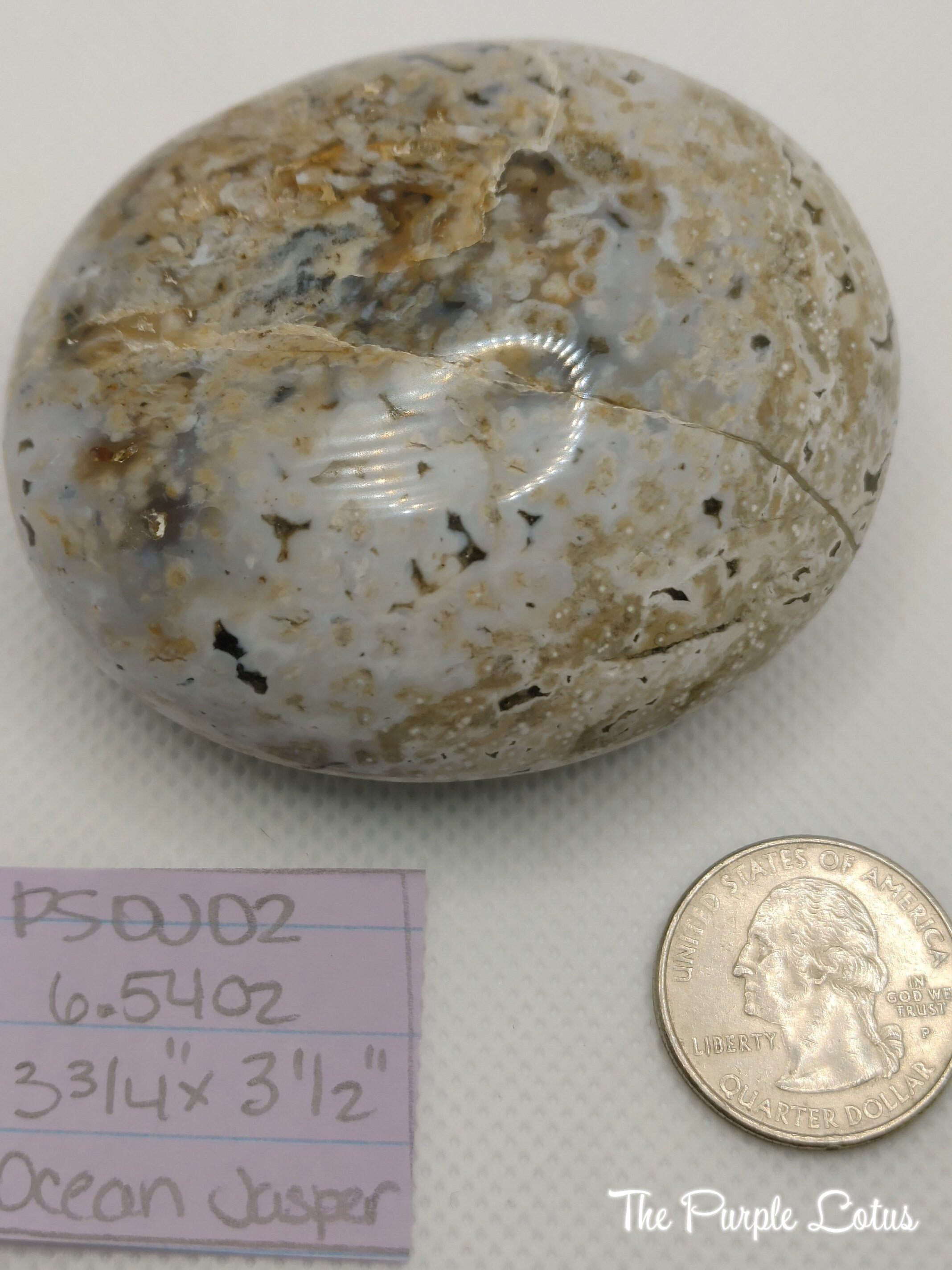 Ocean Jasper Palm Stone, Elevated Spirits (6.54oz)