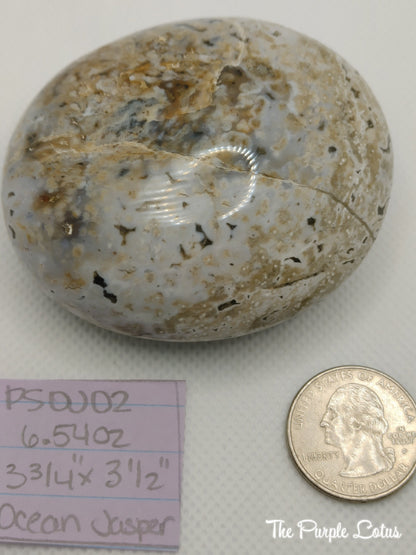 Ocean Jasper Palm Stone, Elevated Spirits (6.54oz)
