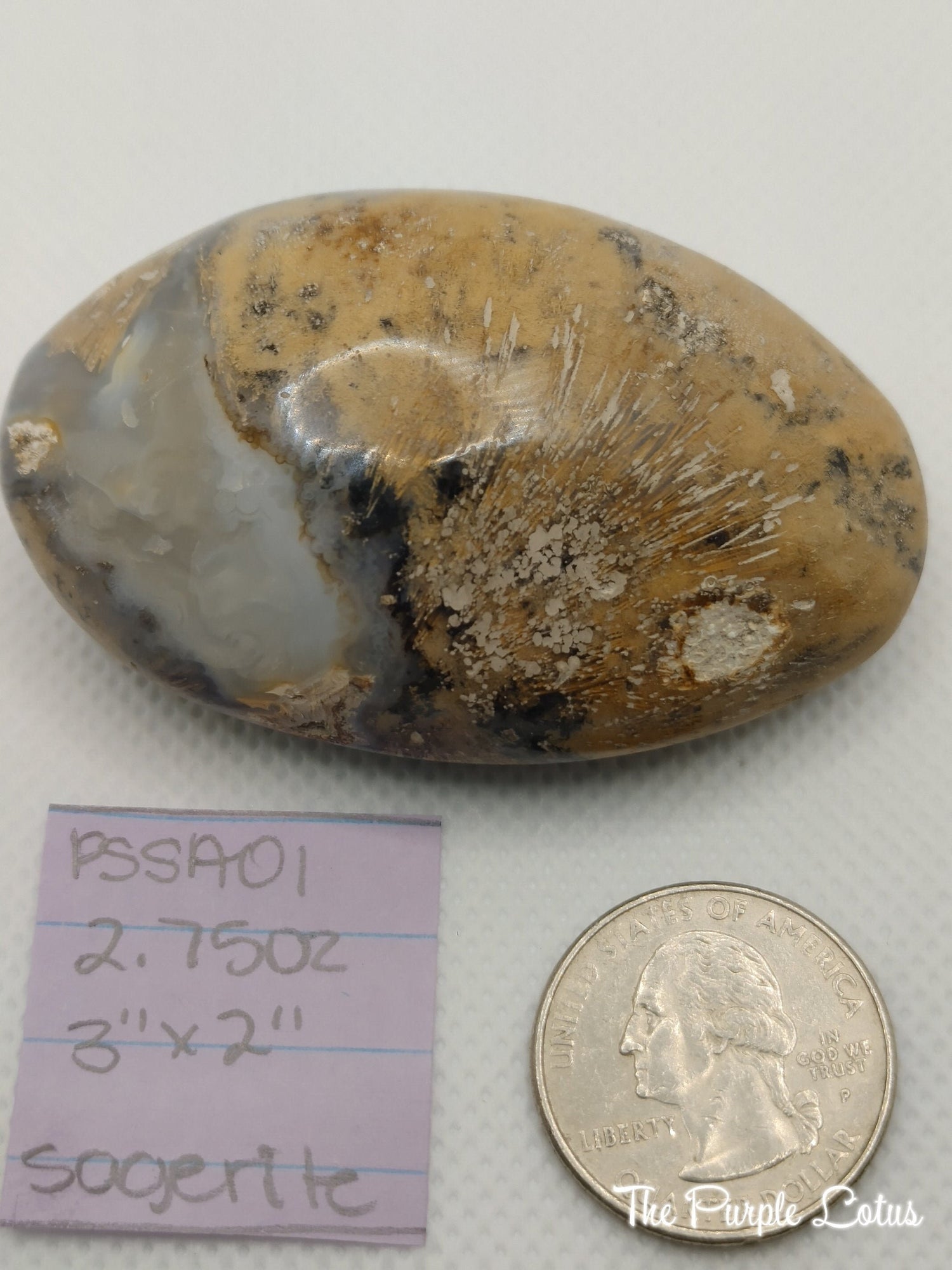 Sagenite Palm Stone, Tumbled Healing Crystal (2.75oz)