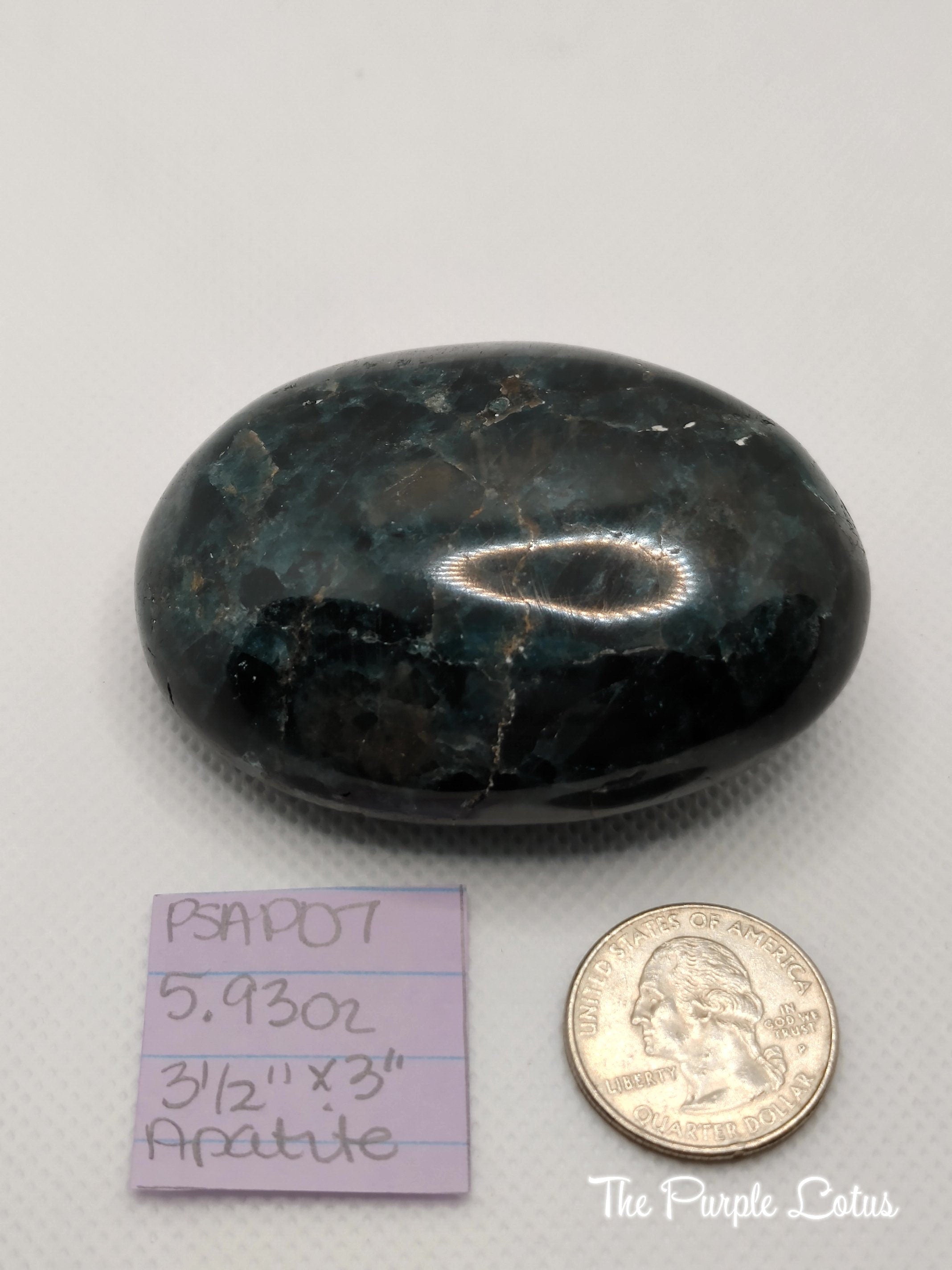Apatite Palm Stone, Communication and Focus, Public Speaking, Peace, Love, Acceptance 3 1/2&amp;quot; x 3&amp;quot;