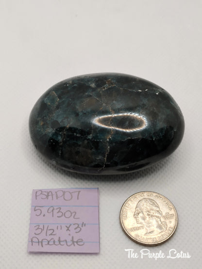 Apatite Palm Stone, Communication and Focus, Public Speaking, Peace, Love, Acceptance 3 1/2&amp;quot; x 3&amp;quot;