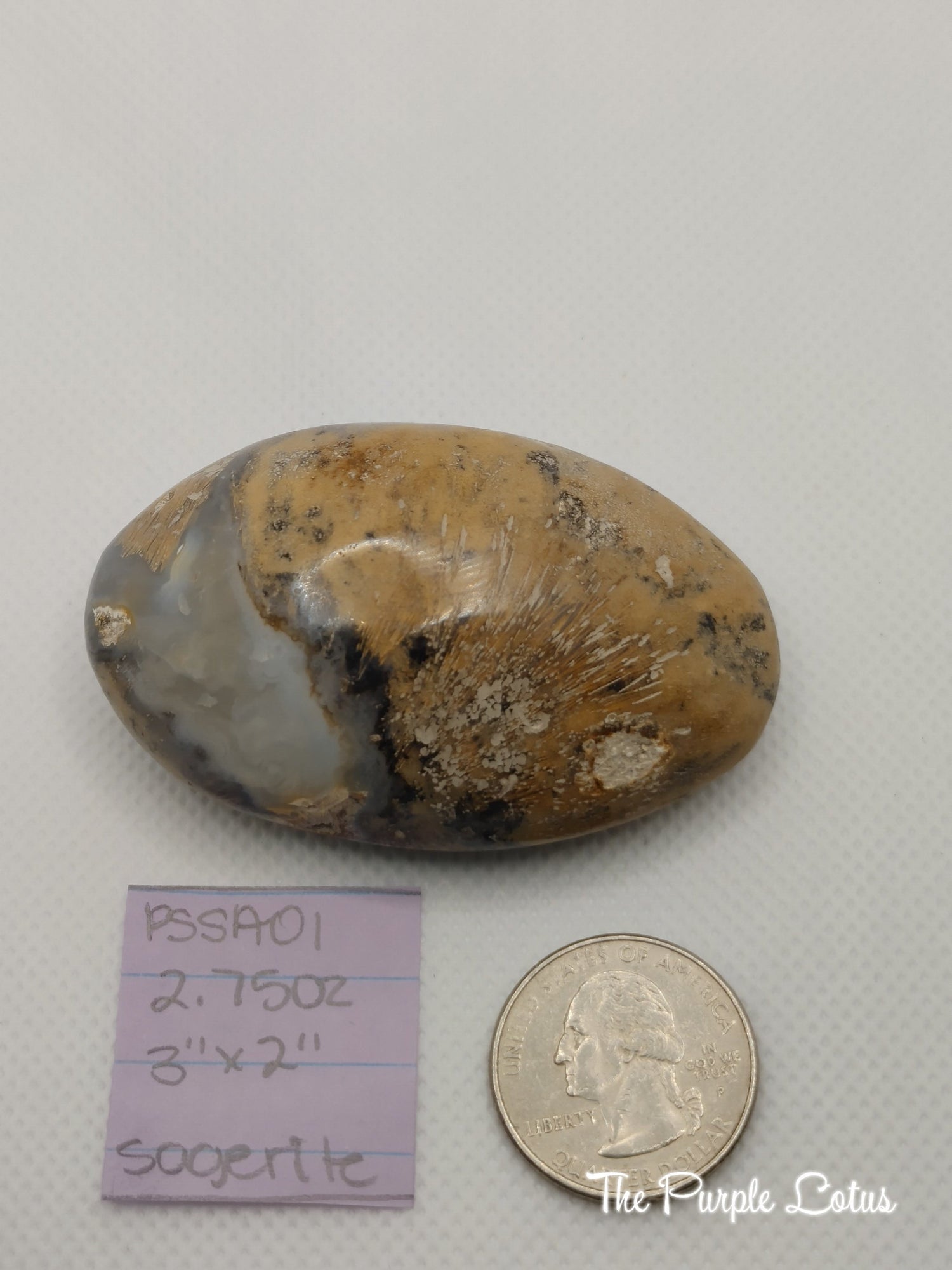 Sagenite Palm Stone, Tumbled Healing Crystal (2.75oz)