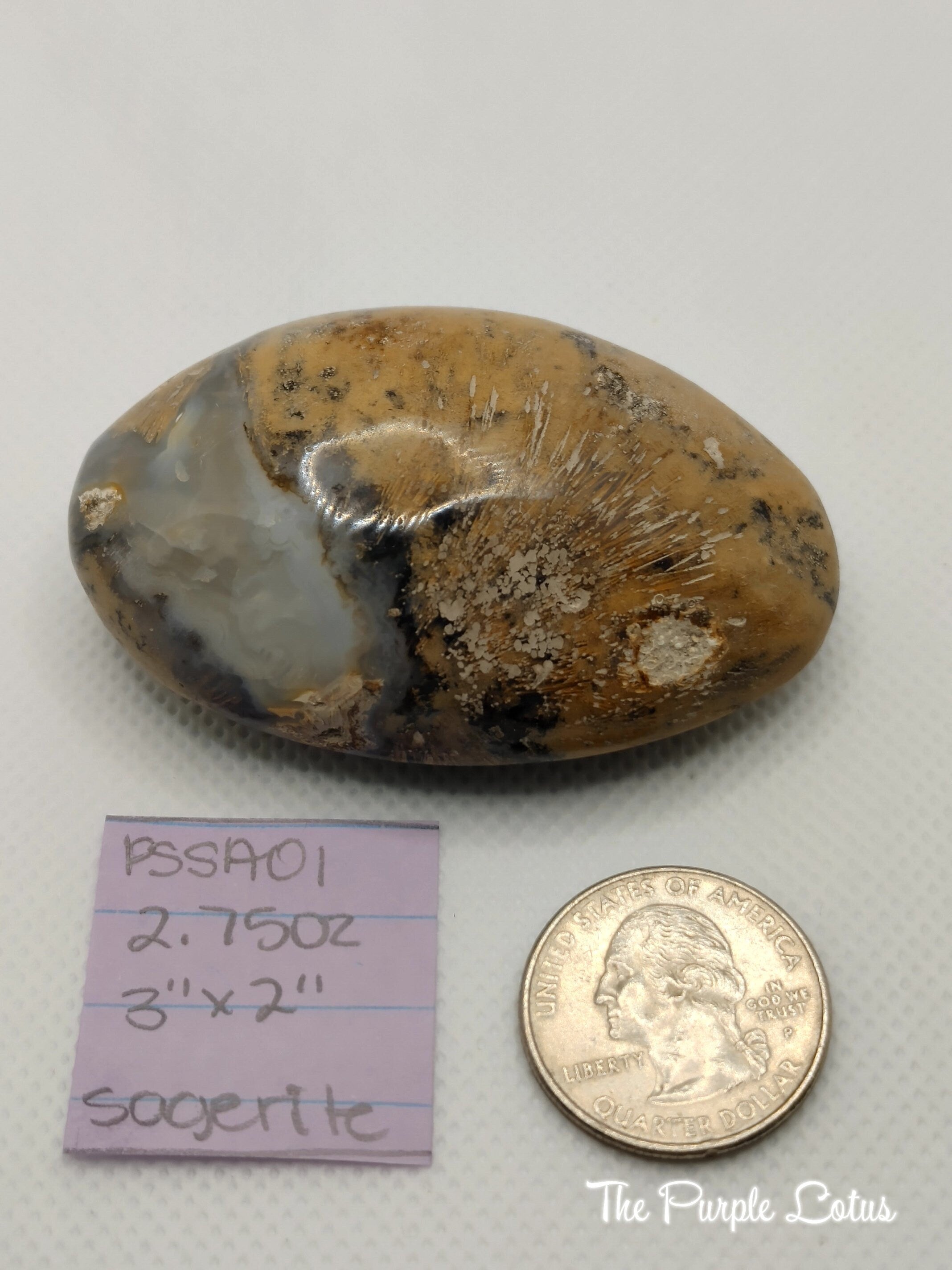 Sagenite Palm Stone, Tumbled Healing Crystal (2.75oz)