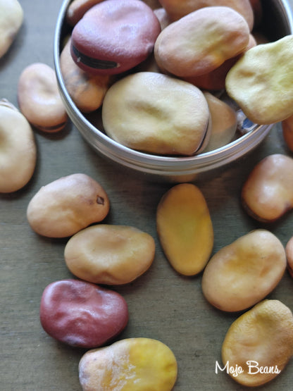 Mojo Wish Beans, Luck and Abundance, Natural Healing (1 oz)