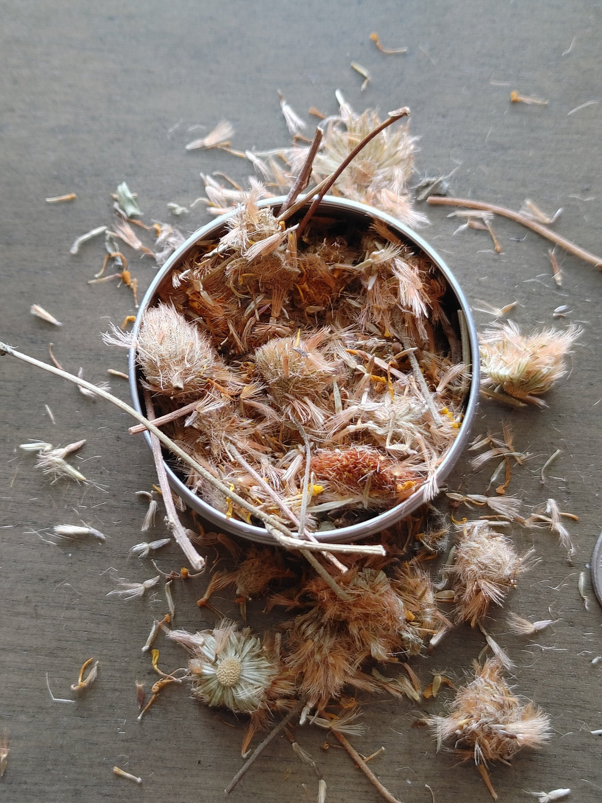 Arnica Flower, Protection, Cleansing, Healing, Restoration, Psychic Abilities, Strength, Resilience, Spiritual Connection, Intuition (1 oz)