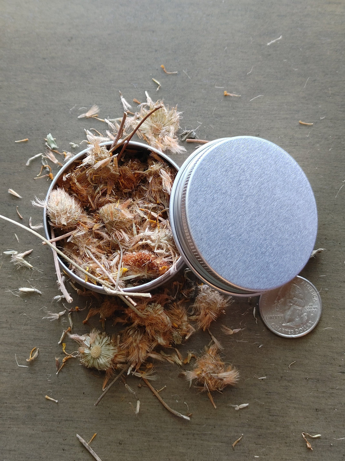 Arnica Flower, Protection, Cleansing, Healing, Restoration, Psychic Abilities, Strength, Resilience, Spiritual Connection, Intuition (1 oz)