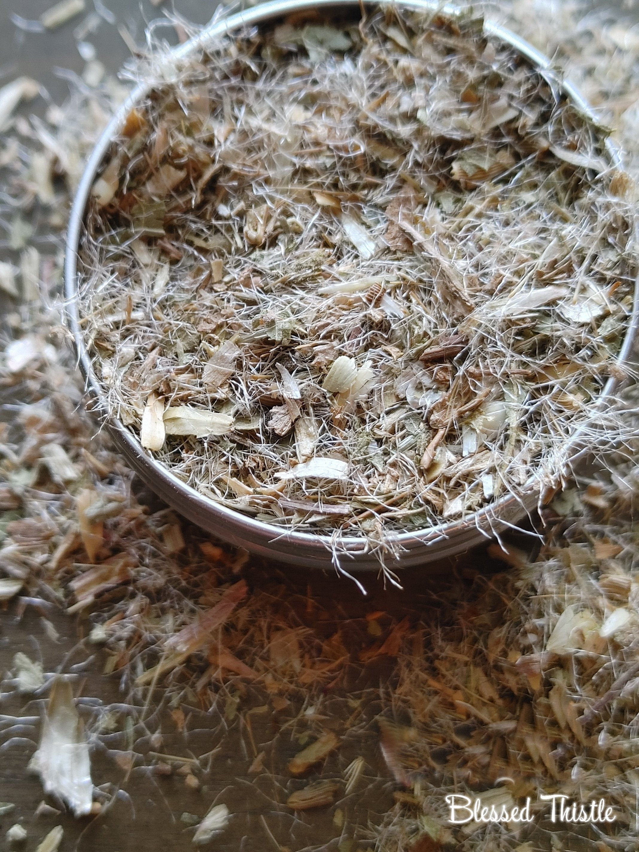 Blessed Thistle Herb, Protection, Cleansing, Heal Anger, Uncrossing, Breaking Hexes, Release Emotions (1 oz)