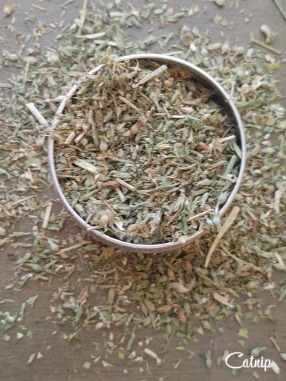 Catnip Herb, Love Sachets, Friendship, Beauty, Happiness, Safe Home  (1 oz)