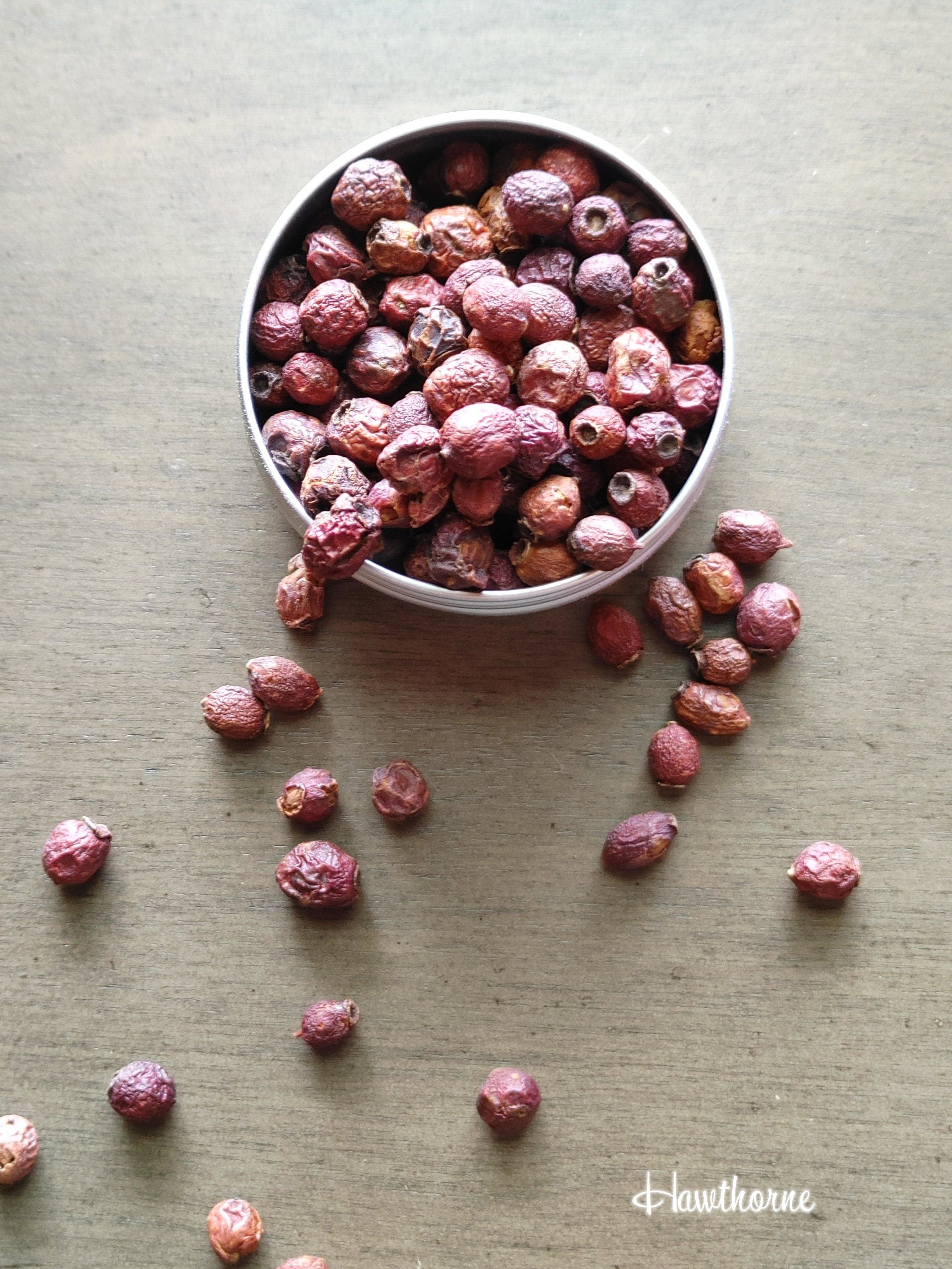 Hawthorn Berries, Chastity, Fertility, Fairy Magick, Rebirth, Success (1 oz)