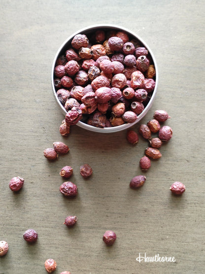 Hawthorn Berries, Chastity, Fertility, Fairy Magick, Rebirth, Success (1 oz)