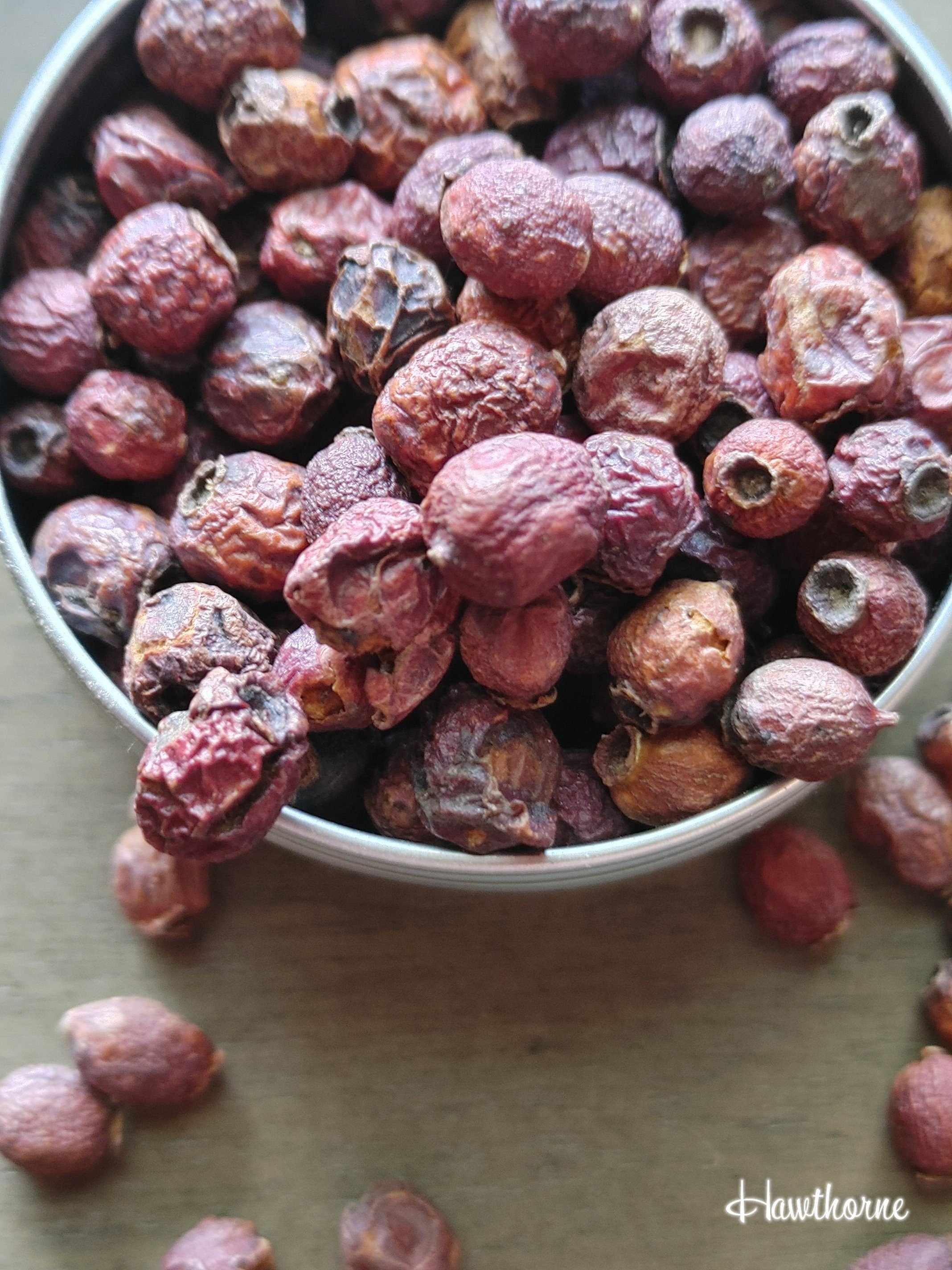 Hawthorn Berries, Chastity, Fertility, Fairy Magick, Rebirth, Success (1 oz)