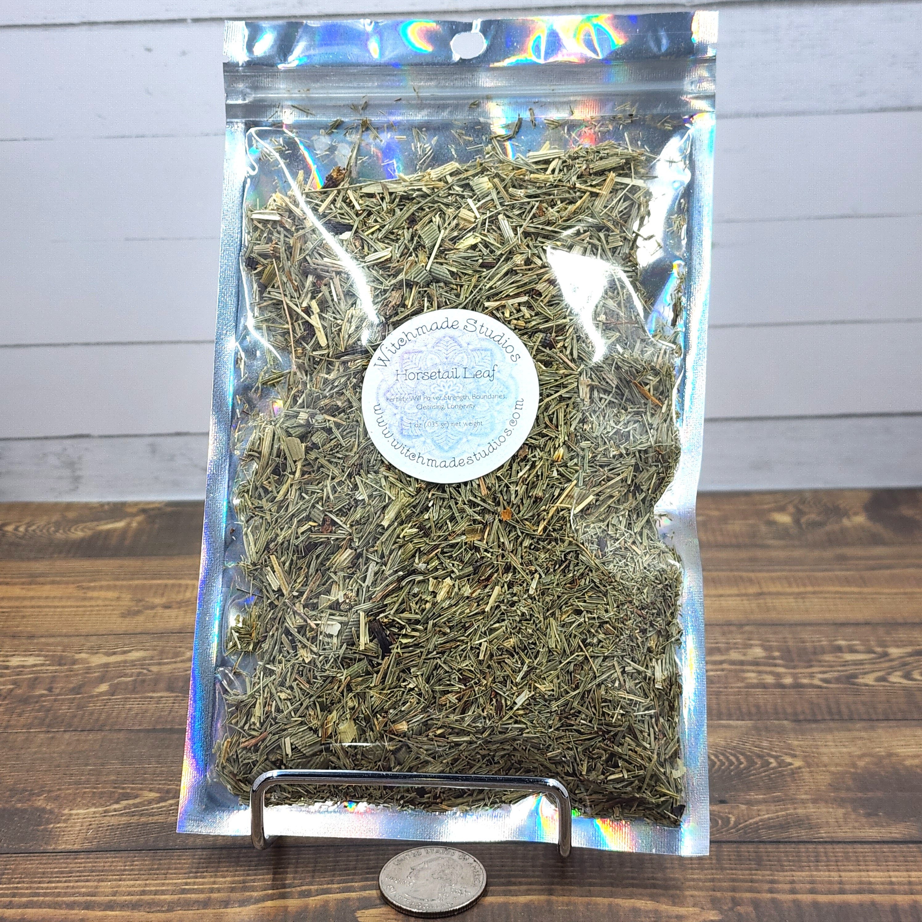 Horsetail Herb, Fertility, Will Power, Strength, Boundaries, Cleansing, Longevity (1 oz)