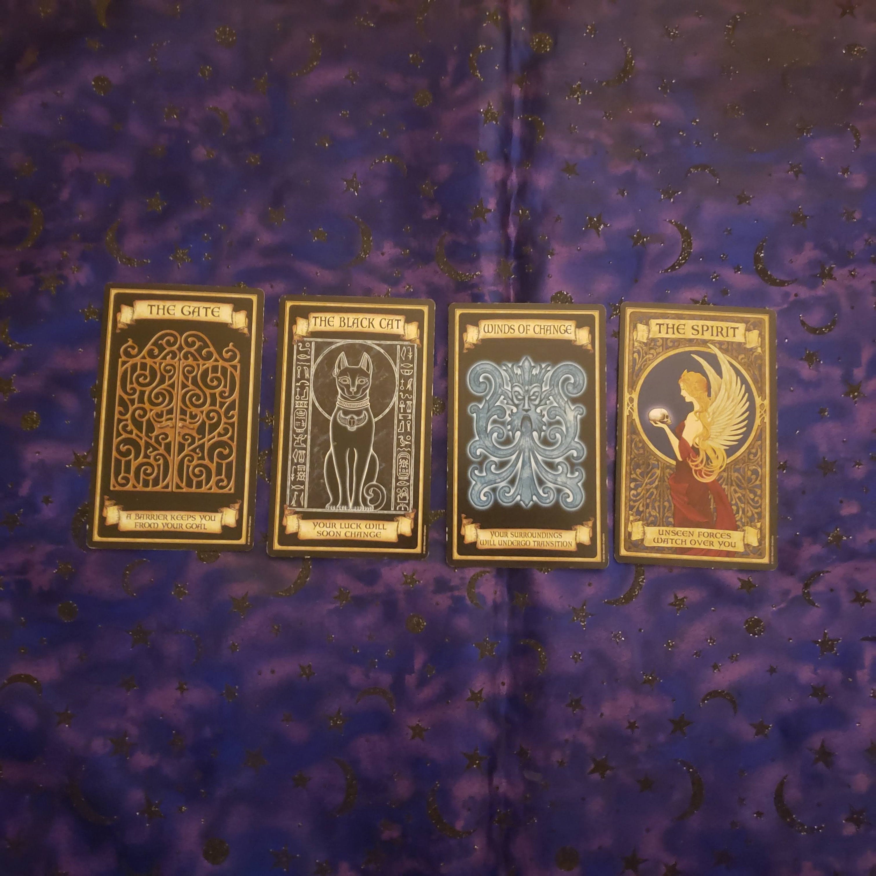 Tarot Reading 6 Month Spread  READING ONLY