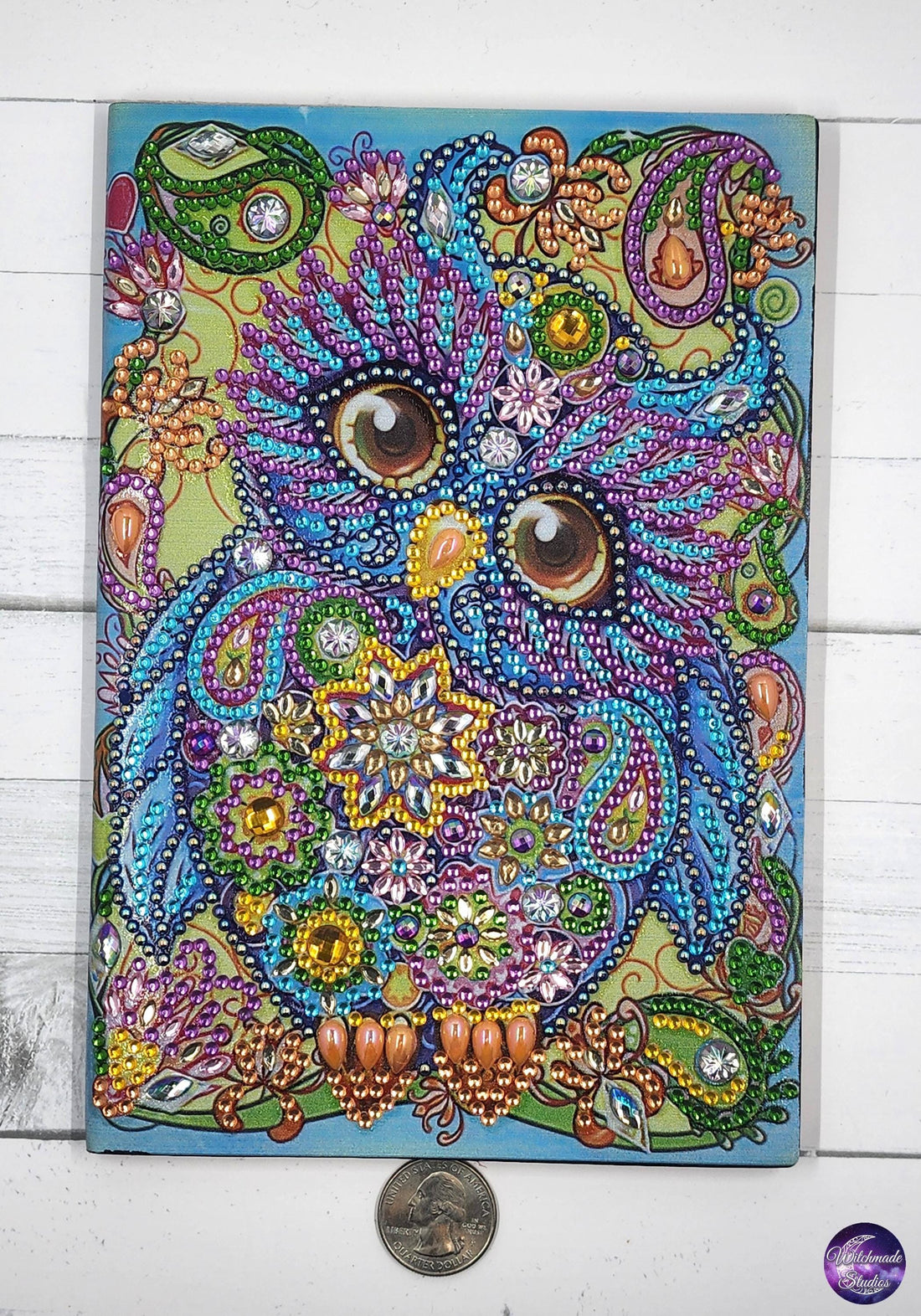 Owl Journal, Diamond Painting Notebook, Unlined Grimoire J05