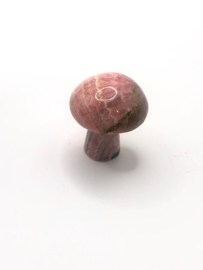 Rhodochrosite Carvings: Crystal Octopus, Turtle, Skull &amp; More