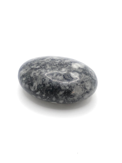 Shell Jasper and 1,000 Eye Jasper