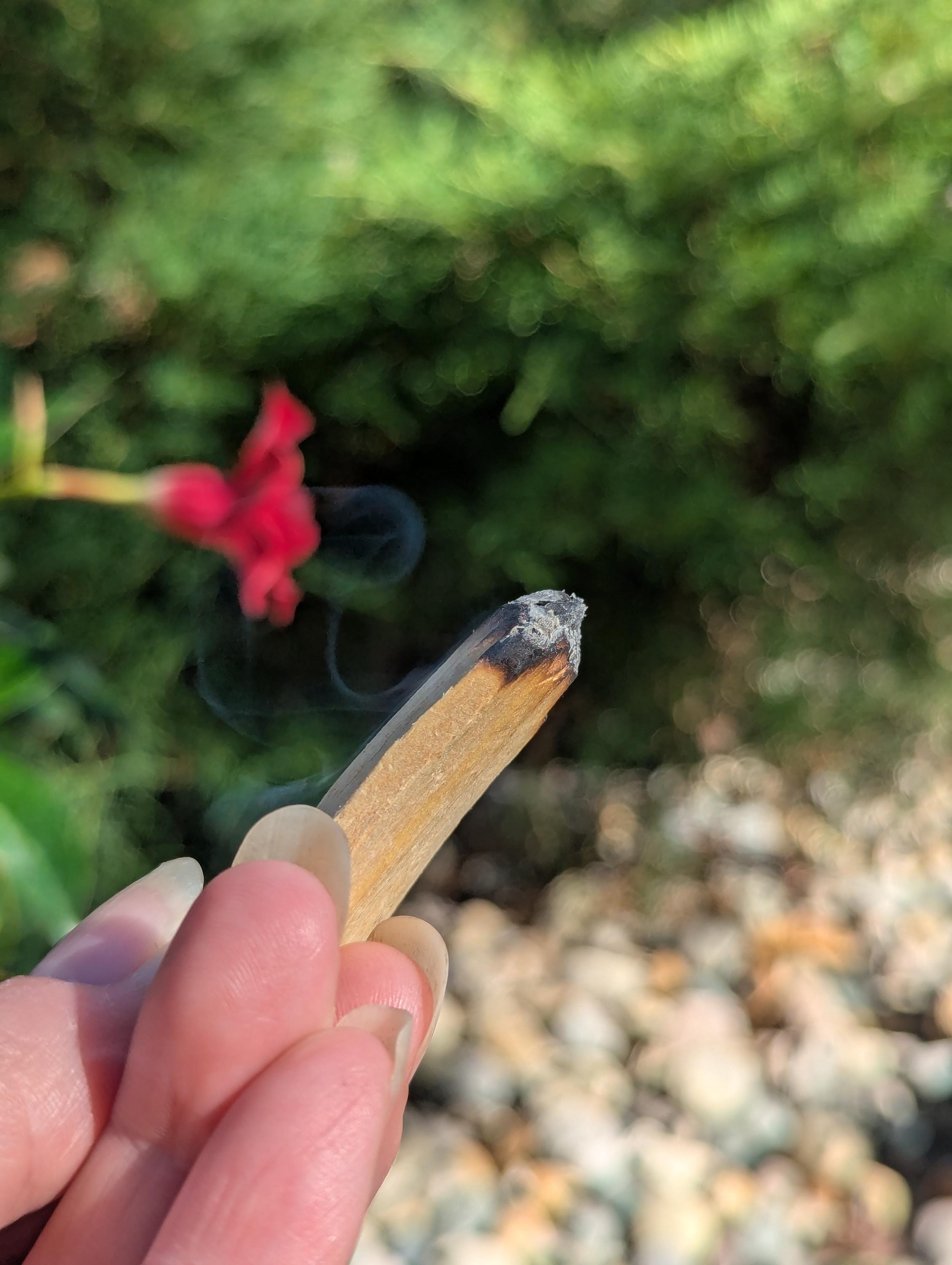 Sage and Rose Smudge Bundle | Energy Cleansing Ritual