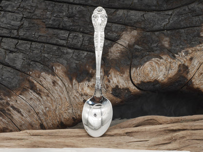 Lilith Witches Teaspoon For Stirring In Intent - Engraved Stainless Steel