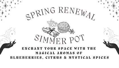 Spring Simmer Pot Kit | Citrus Berry Spice Stovetop Potpourri Home Fragrance