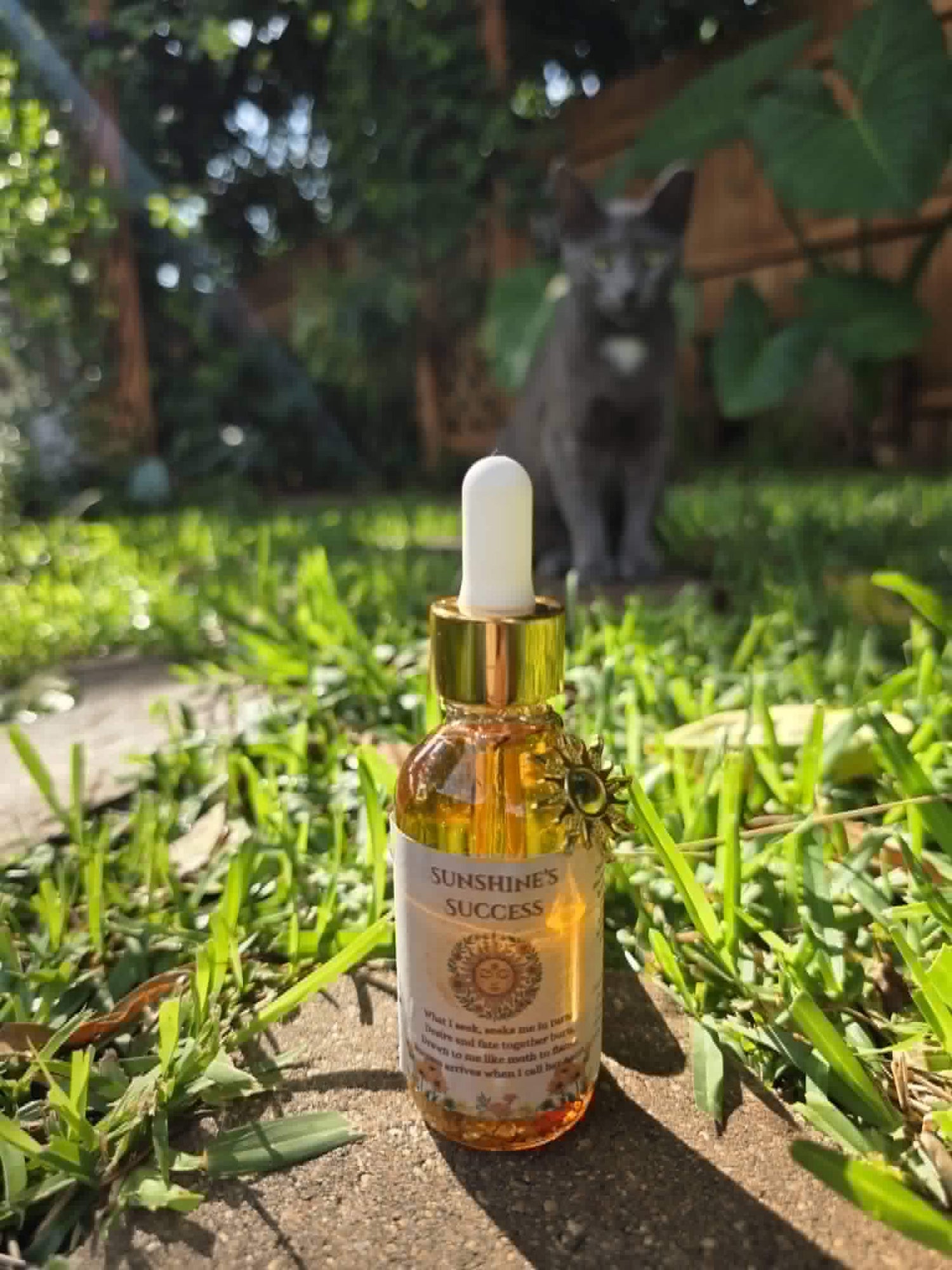 Sunshine’s Success Oil | Solar Ritual Oil for Abundance, Motivation &amp; Manifestation