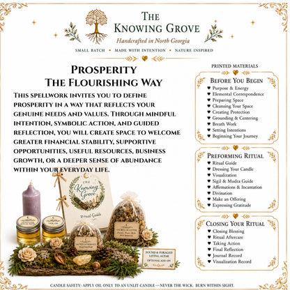 Prosperity Spell Kit, Abundance Ritual Tools, Handcrafted Witchcraft Supplies
