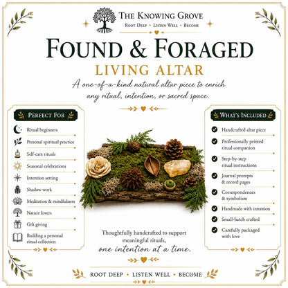 Prosperity Spell Kit, Abundance Ritual Tools, Handcrafted Witchcraft Supplies
