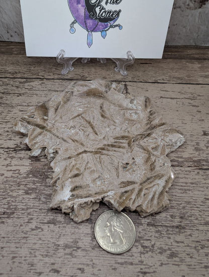 Desert Rose/Sand Rose Selenite slab.