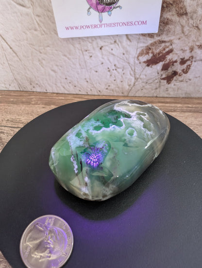 Large Volcano Agate palm stone