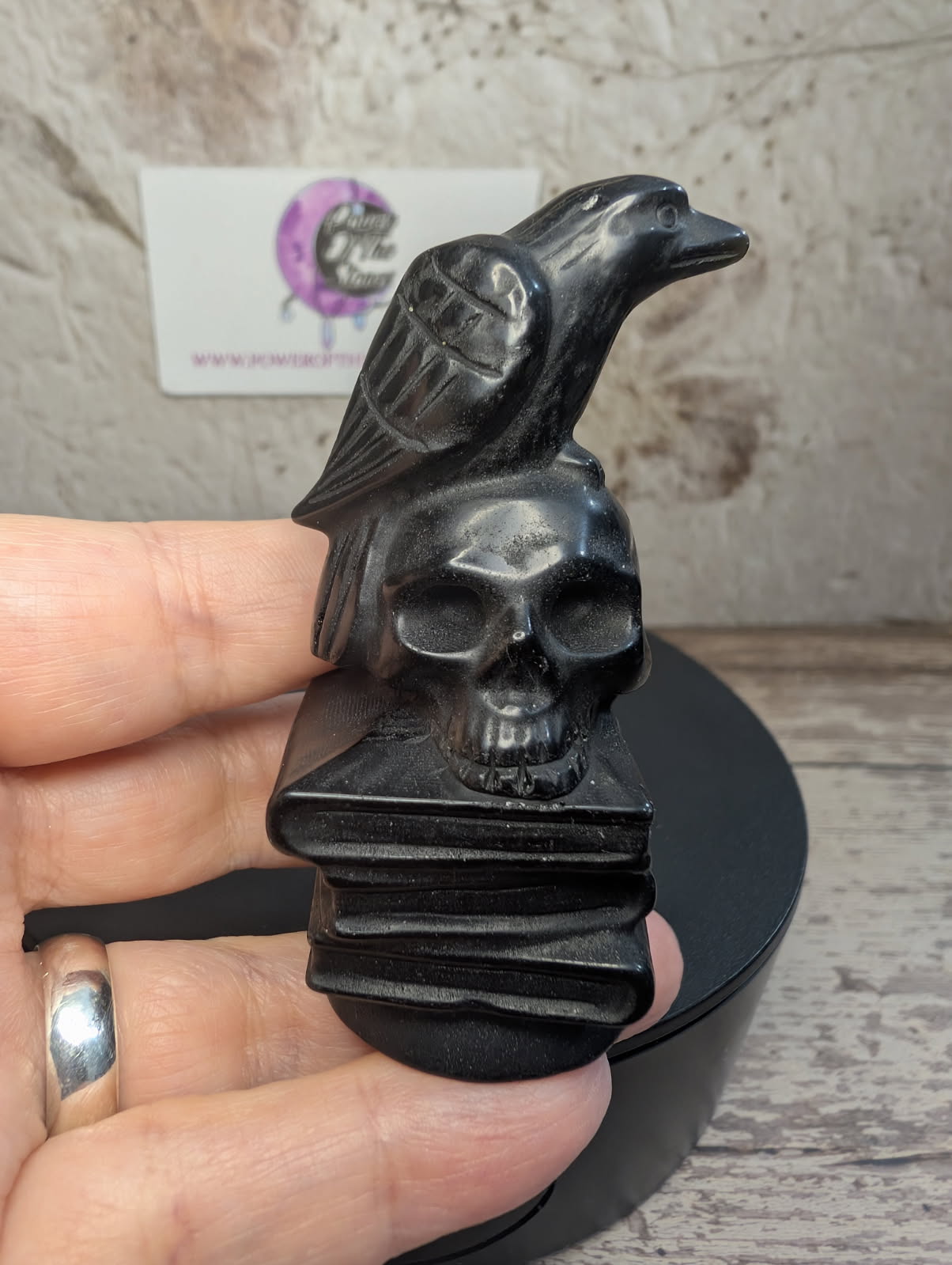 Black Obsidian carving of a crow, skull on stack of books.