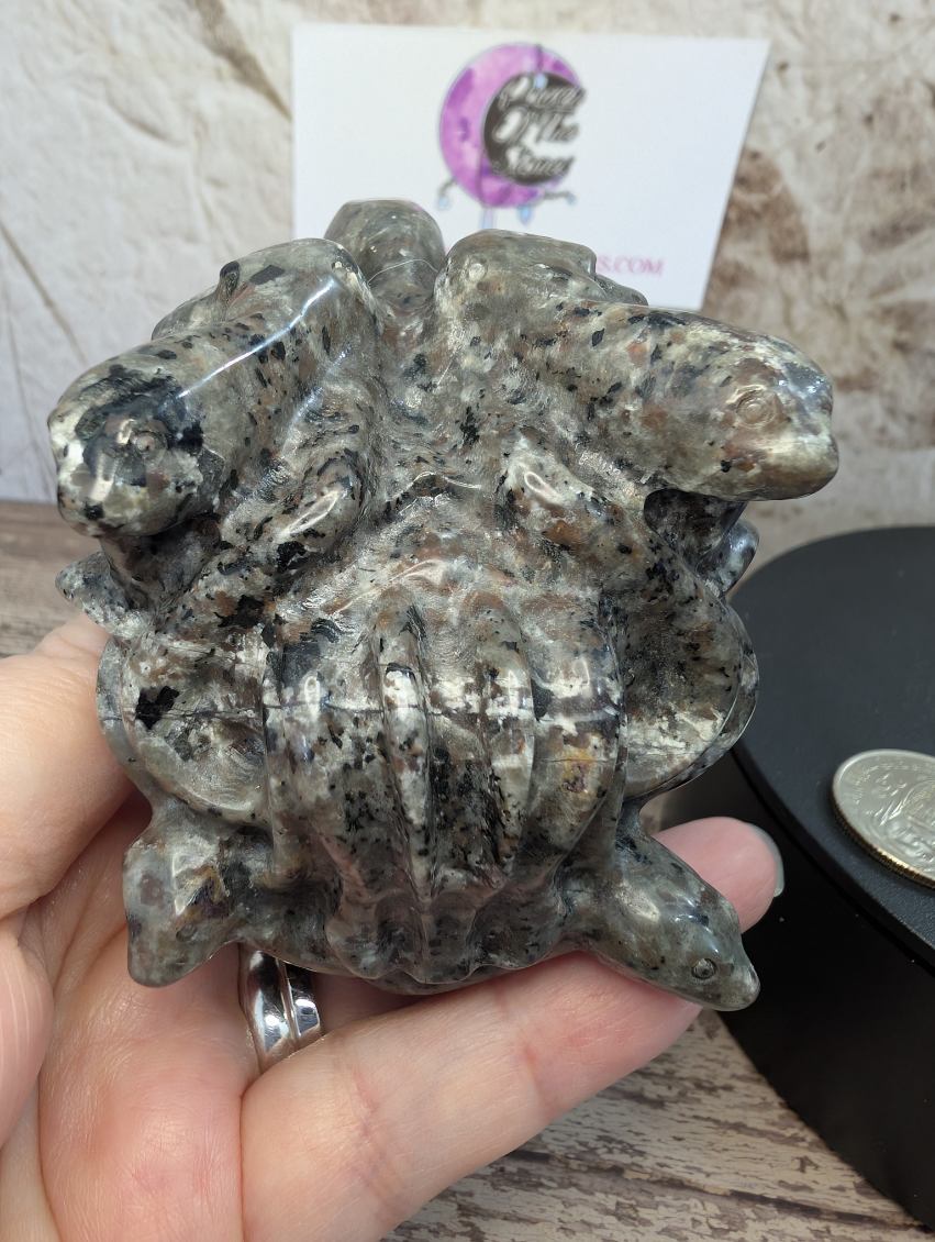 Emberlite Medusa carving.