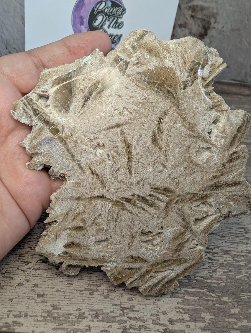 Desert Rose/Sand Rose Selenite slab.
