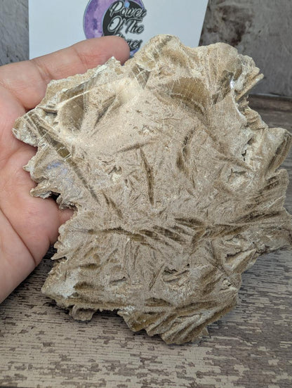 Desert Rose/Sand Rose Selenite slab.