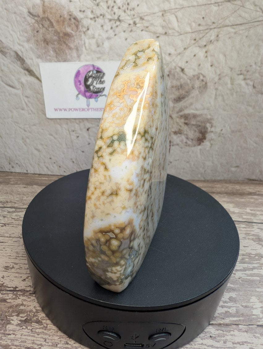 Ocean Jasper free form
