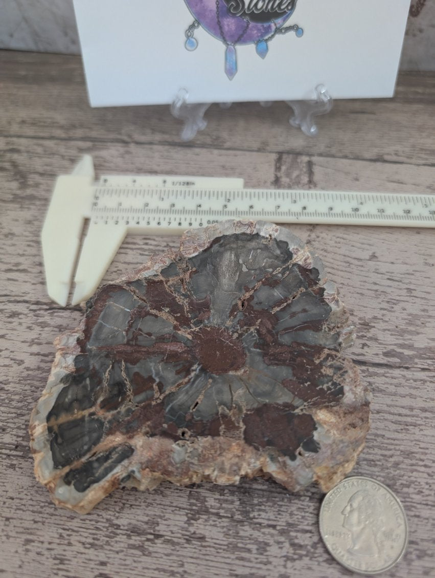 Red Petrified wood slab.