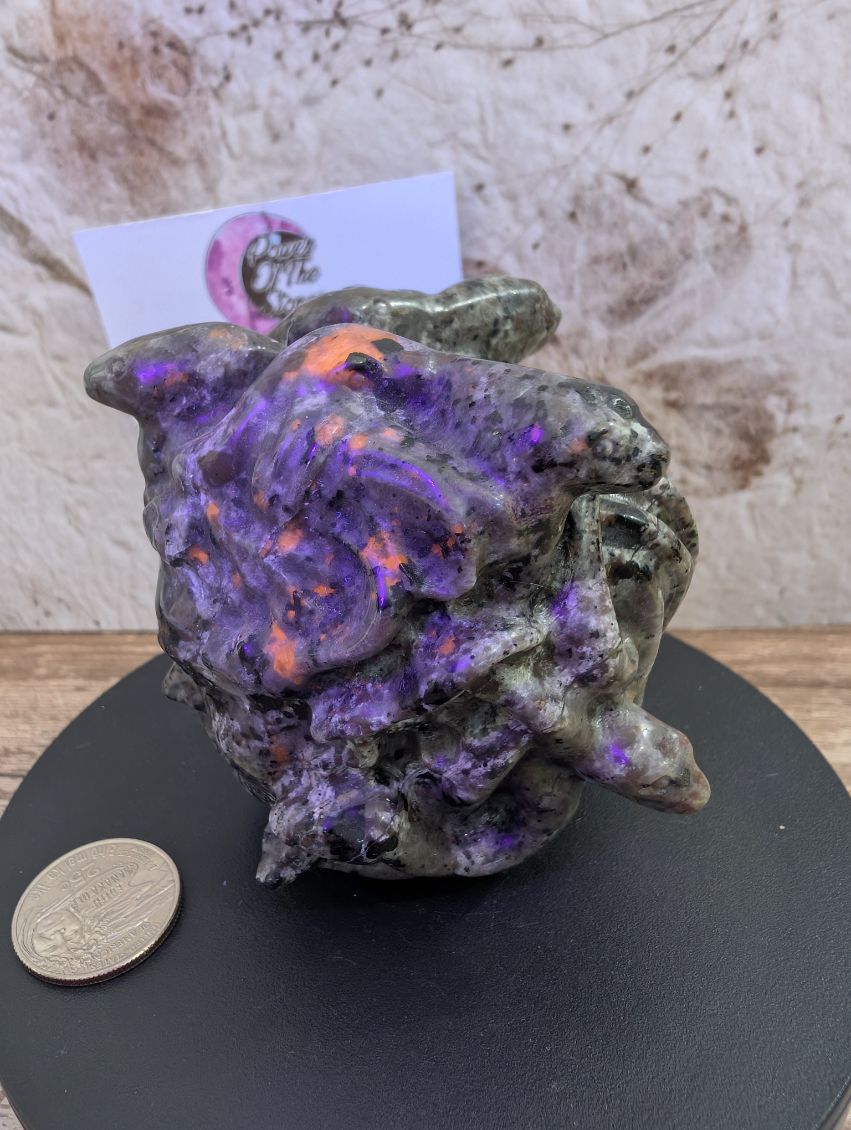 Emberlite Medusa carving.