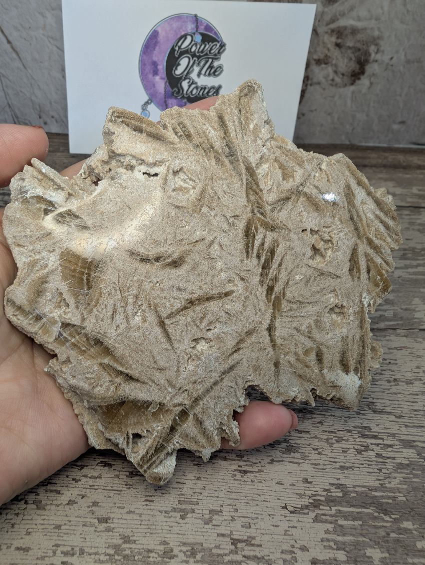 Desert Rose/Sand Rose Selenite slab.